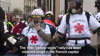 Protesters wreak havoc on streets of Paris