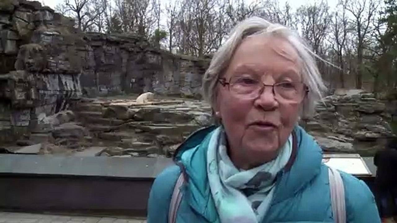 Für Eisbär-Junges beginnt der 'Ernst des Lebens'