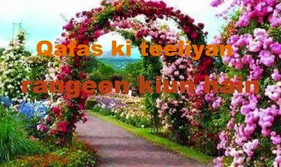 Apni kahani kasy kahein gay 2019