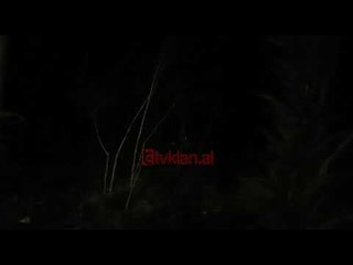 62-vjeçari ekzekutohet ne Tirane