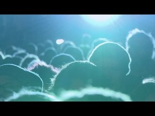 World Book Night in Trafalgar Square, London // Hibrow Literature