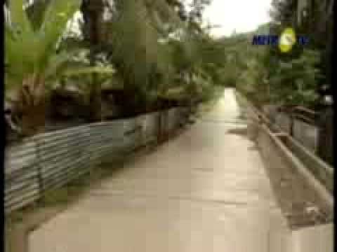 OASIS 4 : Sagu Untuk Masa Depan