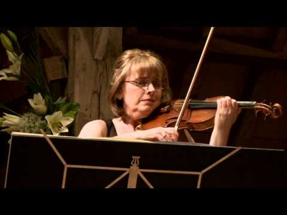 Schubert Grand Duo for Violin & Piano in A Major, D574 // I. Allegro moderato