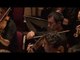 Mahler: Symphony No. 5 - III. Scherzo. Kräftig, nicht zu schnell // RLPO / Vasily Petrenko