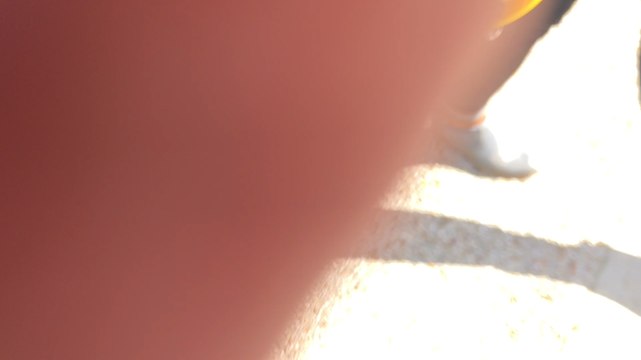 Des centaines de marcheurs pour le climat dans les rues du Mans