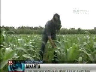 IFPRI: Harga Pangan Dunia Akan Naik