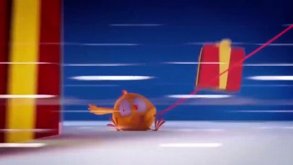 Where is Chicky? Funny Chicky #84 | Chicky Dessin Animé 2018