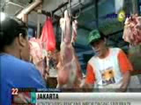 Kebijakan Impor Daging Bisa Merugikan Peternak