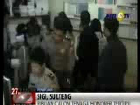 Ribuan Calon Tenaga Kerja Honorer di Sigi Ditipu