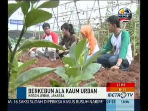 8-11 Show: Berkebun ala Kaum Urban (2) | Metro TV