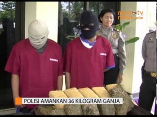 Polisi Sita 36 Kilogram Ganja