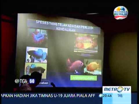 taman nasional riau 3