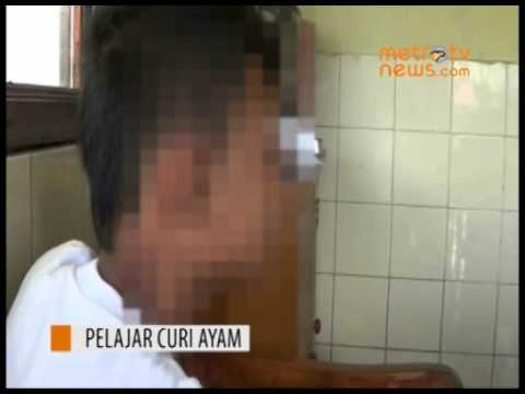 Seorang Pelajar Tertangkap Curi Ayam