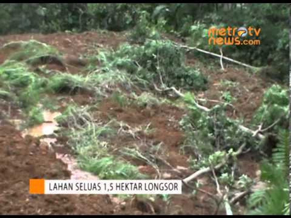 Lahan Seluas 1,5 Hektare Di Gunung Wilis Longsor