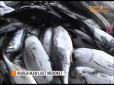 Harga Ikan Laut Meroket akibat Cuaca Buruk