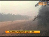 Kebakaran di Areal Perkebunan Sawit Terus Meluas