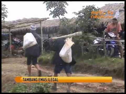 Tambang Emas Ilegal Marak di Jember