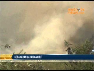 Tidak Ada Sumber Air Kebakaran Lahan Gambut Sulit Dipadamkan