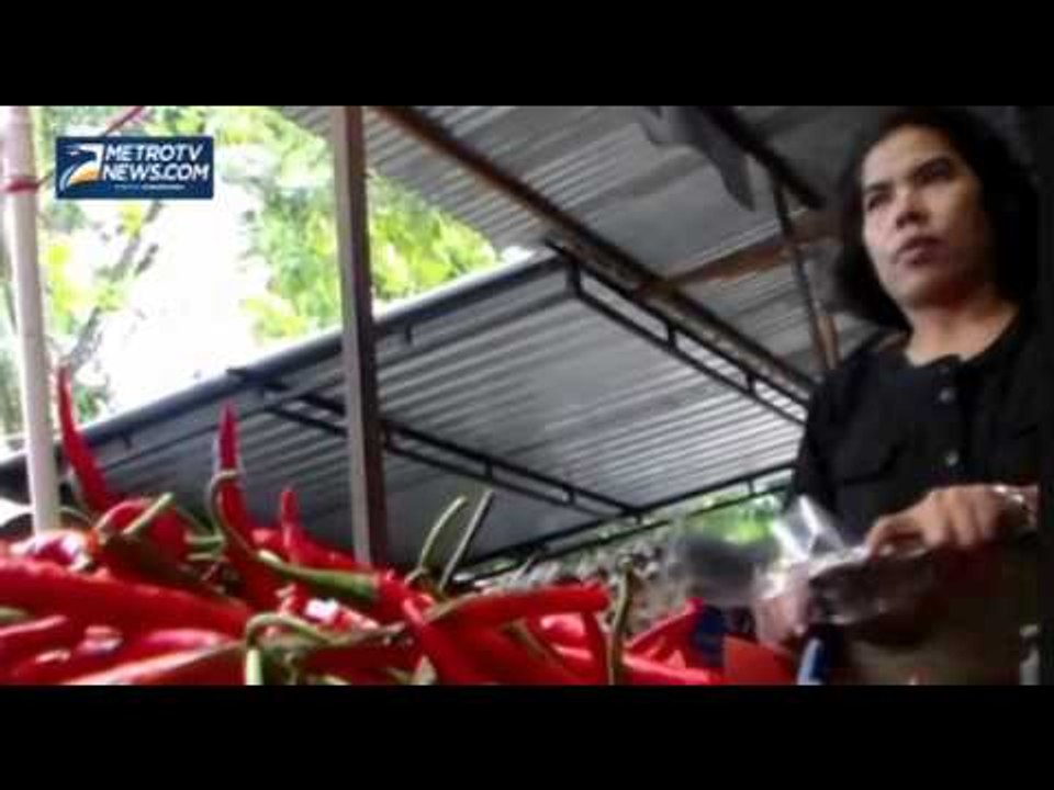 Harga Cabai Melejit