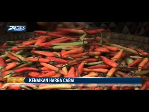 Harga Cabai di Gunung Kidul Tembus Rp60 Ribu/Kg