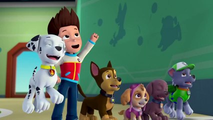 تعرف على حلم روبل.. شاهد الفيديو