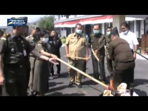 Belasan Kilogram Ganja Dimusnahkan Kejaksaan Negeri