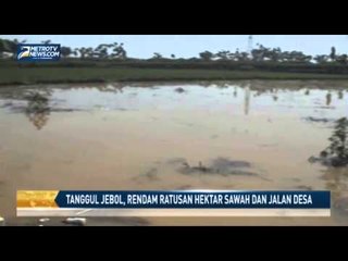 Tanggul Jebol Rendam Ratusan Hektar Sawah dan Jalan Desa