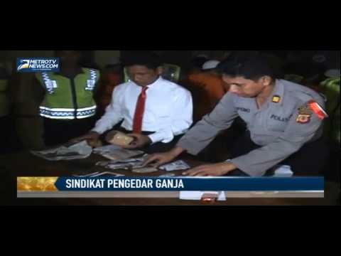 Sindikat Pengedar Ganja di Sukabumi Diciduk Polisi