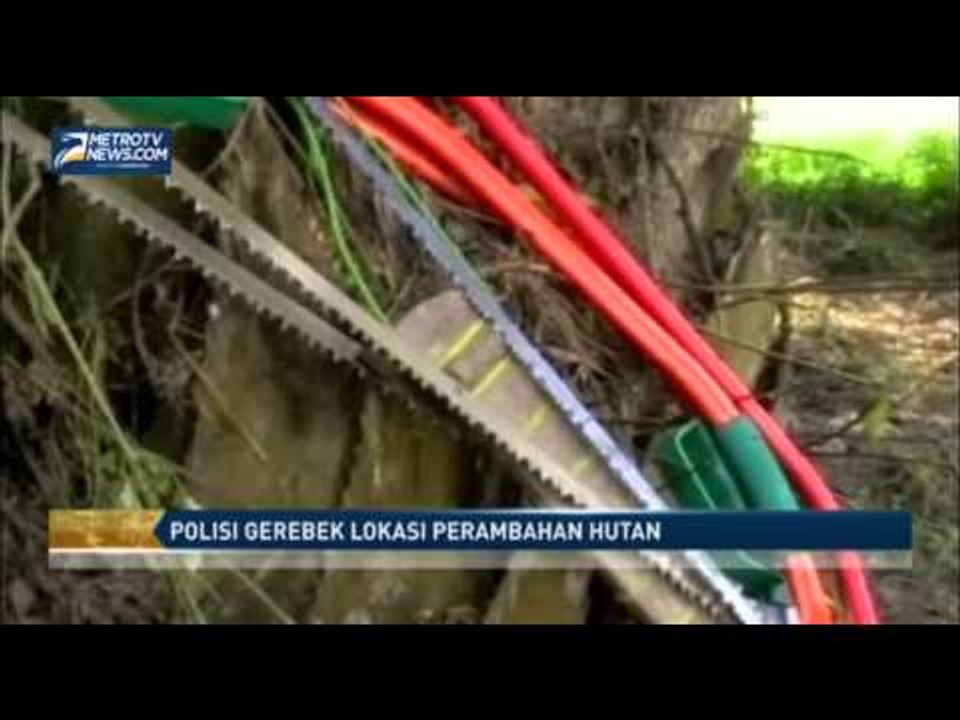 Polisi Gerebek Lokasi Perambahan Hutan