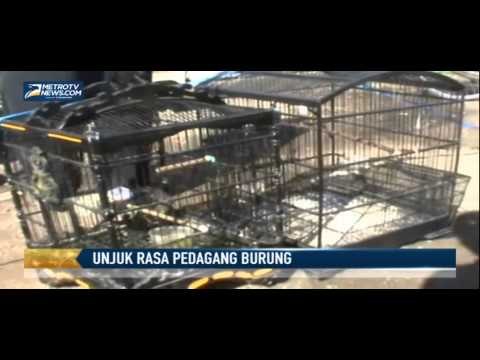 Puluhan Pedagang Burung Unjuk Rasa Minta Dibangun Pasar