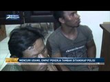 Mencuri Udang, Empat Pekerja Tambak Ditangkap Polisi