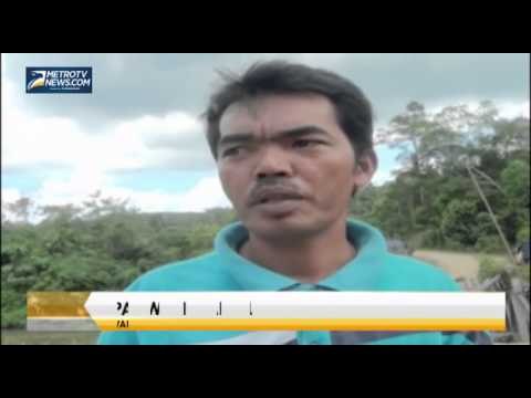 Jembatan Ambruk di Rohul Belum Diperbaiki, Ekonomi Empat Desa Lumpuh