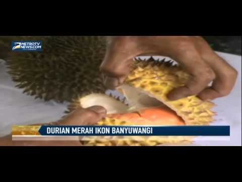 Durian Merah Banyuwangi Dilirik Negara Tetangga