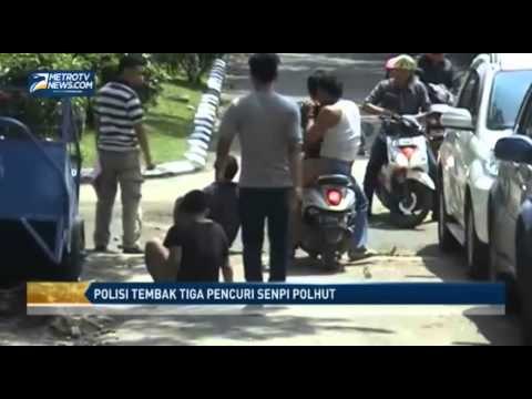 Polisi Tembak Tiga Pencuri Senpi Polhut