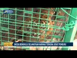 BKSDA Bengkulu Selamatkan Harimau yang Terkena Jerat Pemburu