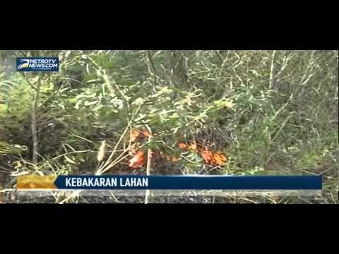 15 Hektare Lahan Semak Belukar Hangus Terbakar