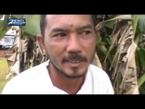 Harga Karet Anjlok, Cuma Lima Ribu Rupiah Per Kilogram