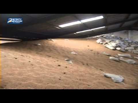 Barang Bukti Kedelai Sitaan Mabes Polri Terbakar