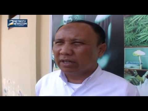 Polisi Tangkap Dua Warga Bawa 53 Kilogram Ganja