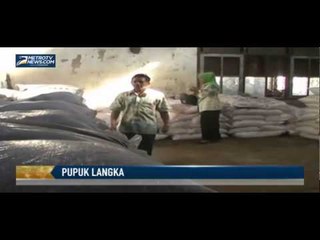 Petani Mengeluh Pupuk Kian Langka