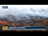80 Hektar Lahan Gambut Hangus Terbakar