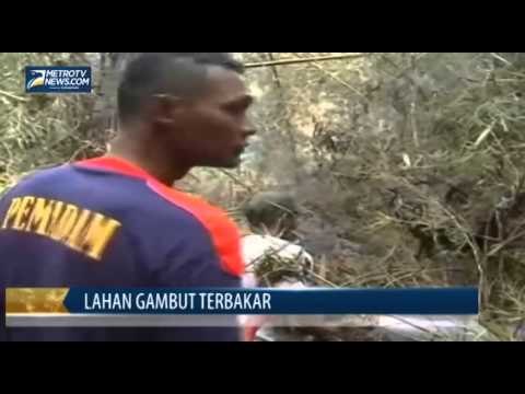 Tiga Hektare Lahan Gambut Terbakar