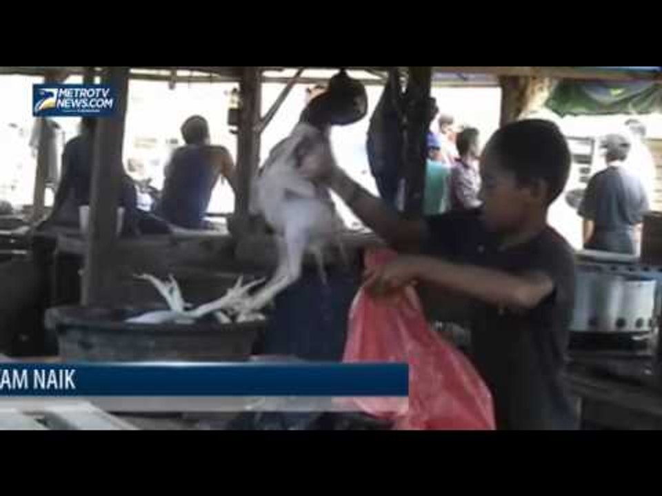Harga Daging Ayam di Bone Naik
