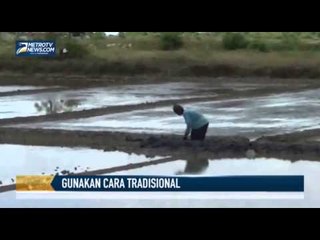 Masih Gunakan Cara Tradisional, Petambak Garam Sulit Maju