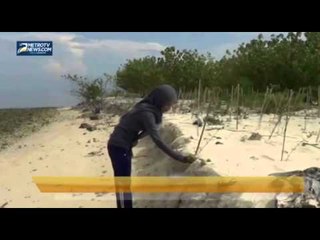 Wisata Liburan Pulau Gede