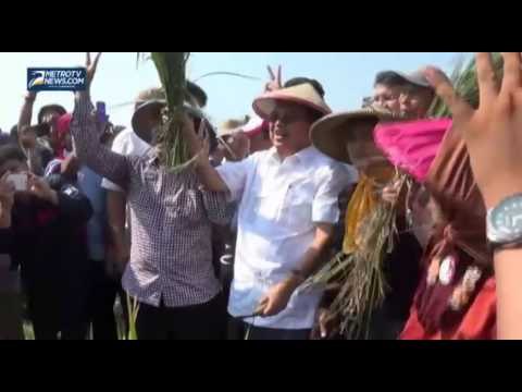 Jusuf Kalla Temui Warga Bekasi dan Petani dalam Panen Raya