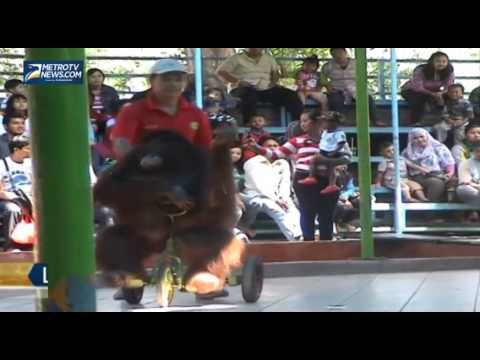 Libur Waisak, KBS Dipadati Pengunjung