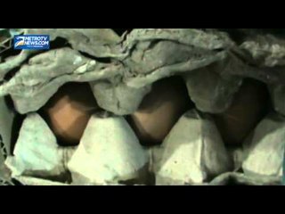 Telur Ayam Lokal Lebih Mahal, Konsumen Beralih ke Telur Malaysia