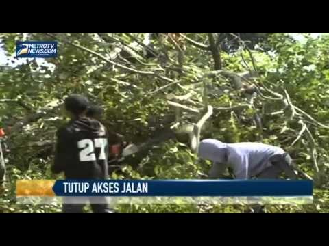 Pohon Tutup Akses Jalan antar Kabupaten