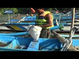 Paceklik Ikan, Nelayan Gunungkidul Mejerit